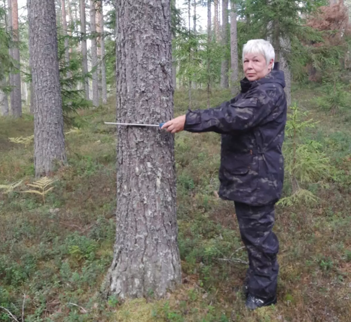 Марина Викторовна Нестерова как 30 лет назад, так и сейчас каждый день наматывает километры по своим лесным владениям и следит за их состоянием