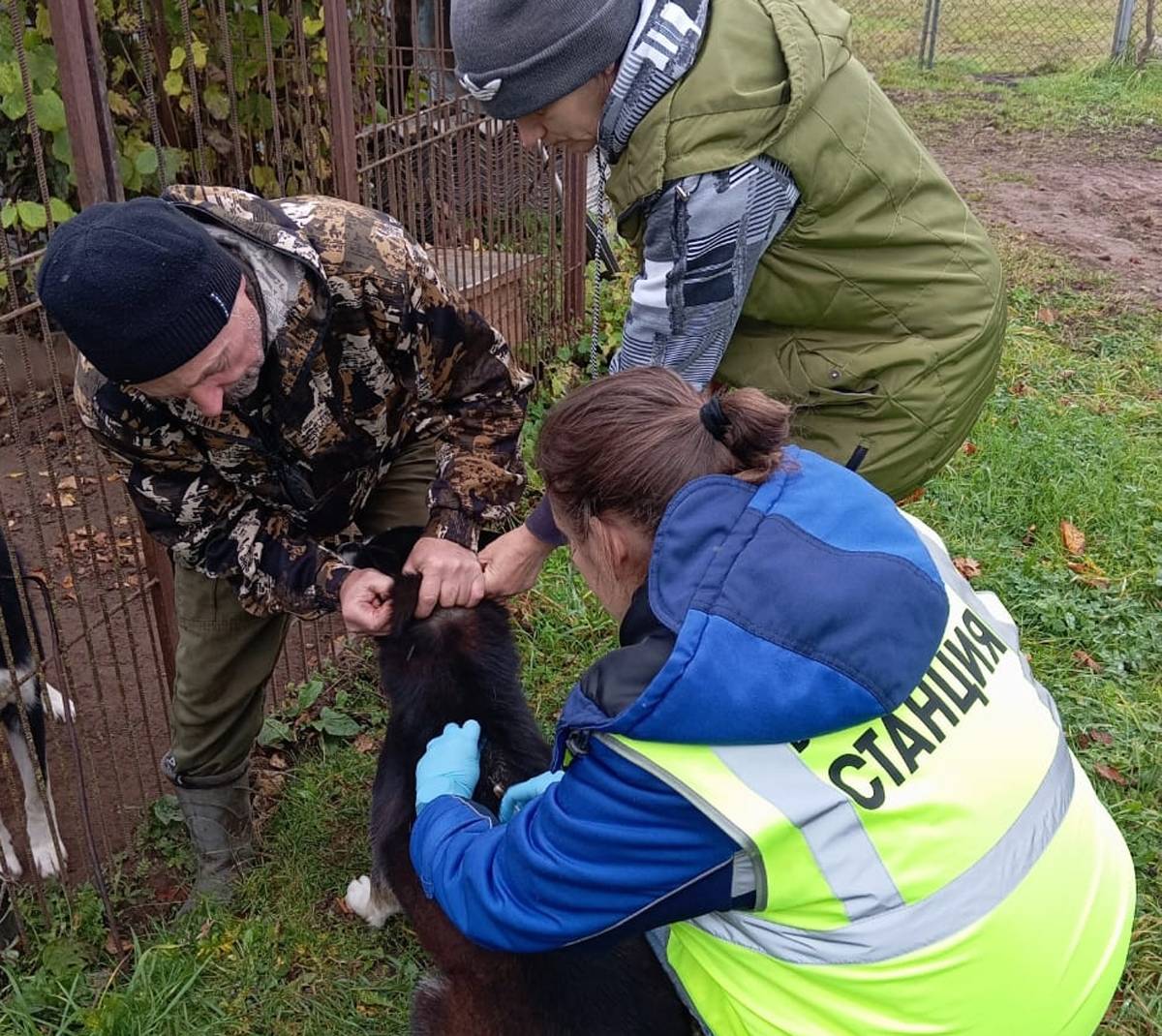 Для здоровья питомцев