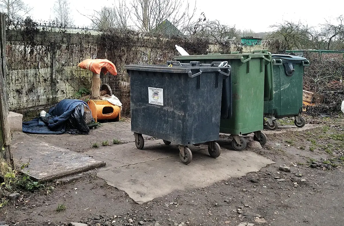 «Заботливо» подкинутые