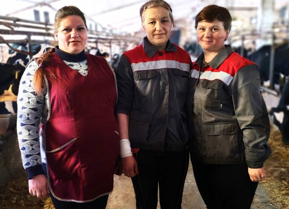 Передольский пример