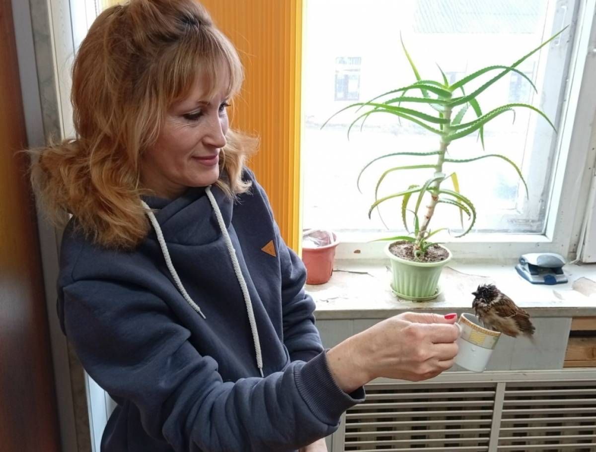 18 граммов счастья