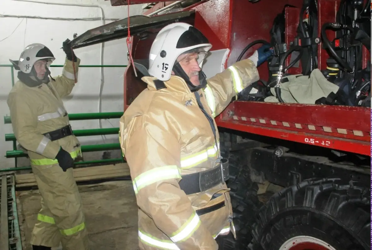 Идут навстречу пламени