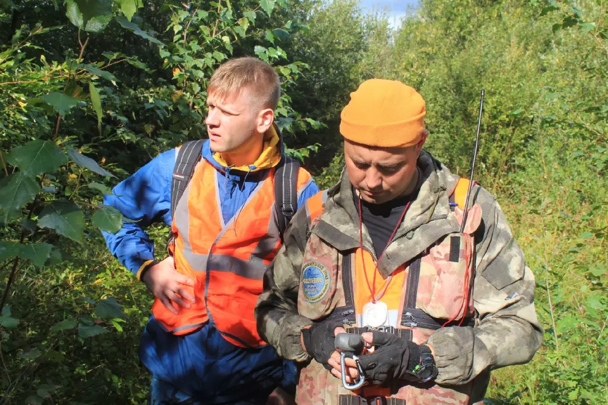 За прошедшие сутки в лесах Новгородской области заблудились 7 человек