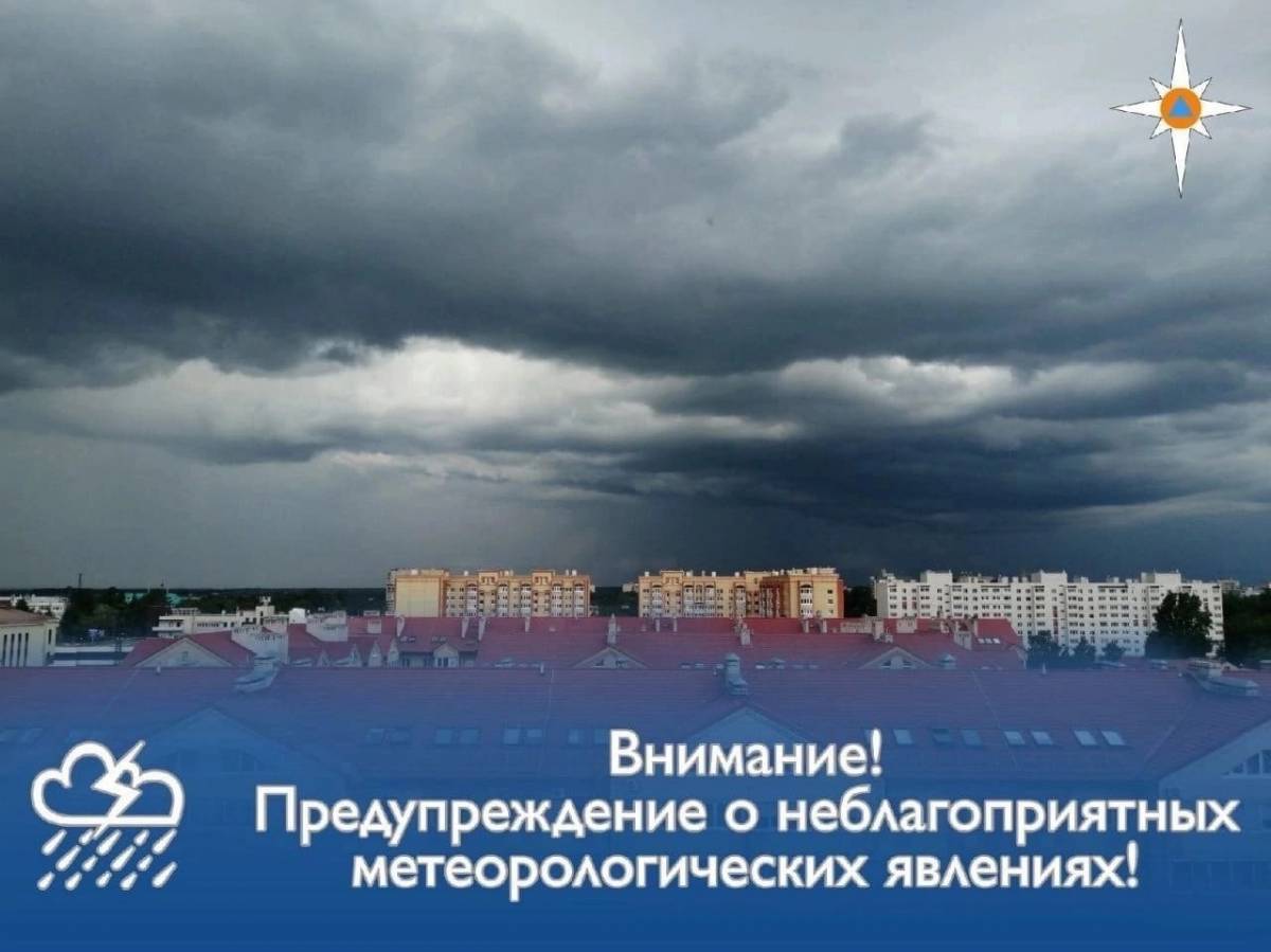 В восточных районах Новгородской области ожидаются сильные дожди