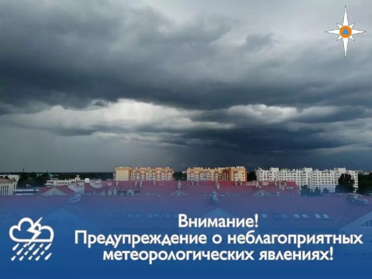 В восточных районах Новгородской области ожидаются сильные дожди