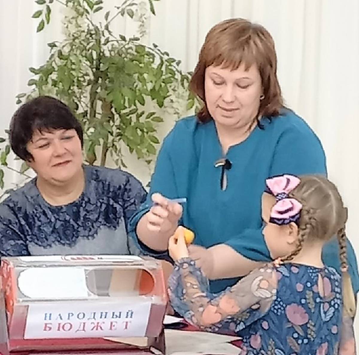 В Чудовском районе стартовал проект «Народный бюджет»