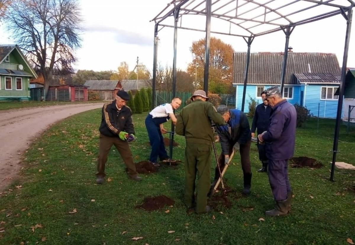 В деревне Любач Шимского района силами участников ТОСа установлена беседка для отдыха