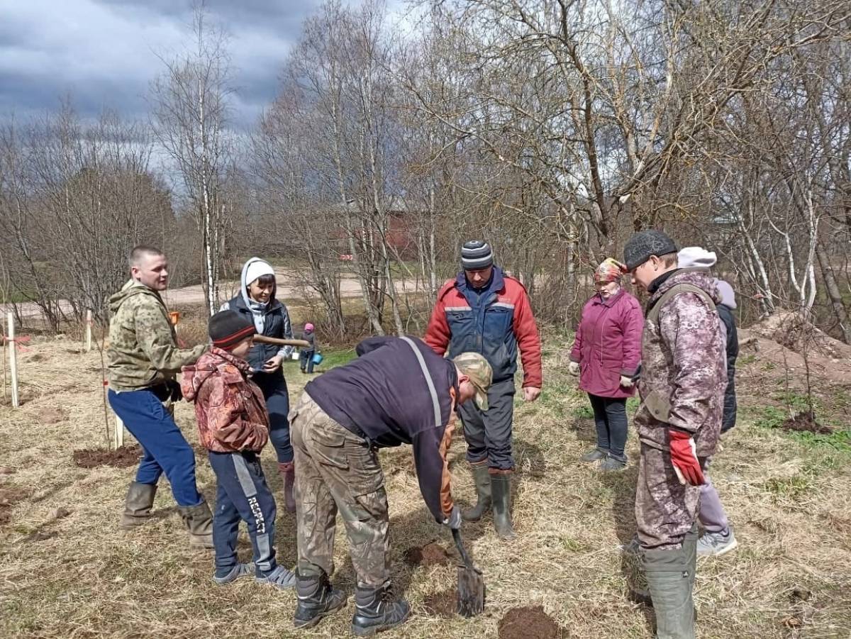 Активисты из Дреглей год назад образовали ТОС, установили спортивную площадку, разбили общественный сад Победы, пробуют восстановить храм, выкашивают борщевик в центре деревни, расчищают заброшенный ручей.