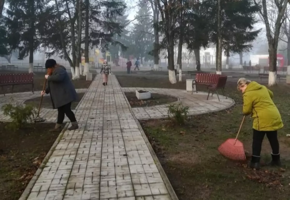 В селе Бронница Новгородского района местный парк подготовили к зиме