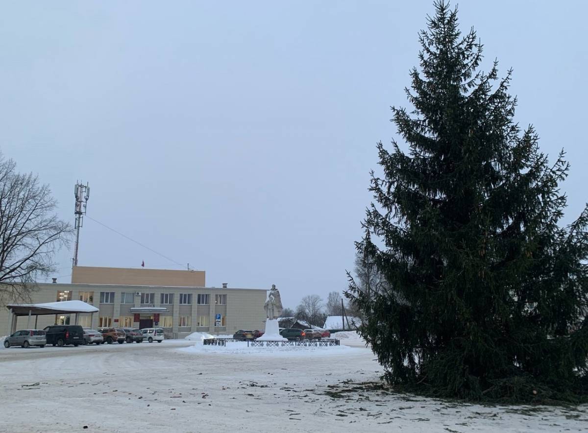 На центральную площадь Сольцов доставили новогоднюю ель-красавицу