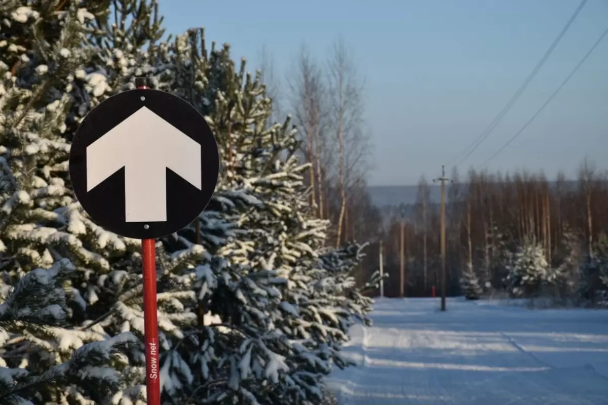 Сотрудники базы отдыха «Любытино-Хутор» проложили лыжню, которой могут пользоваться все желающие