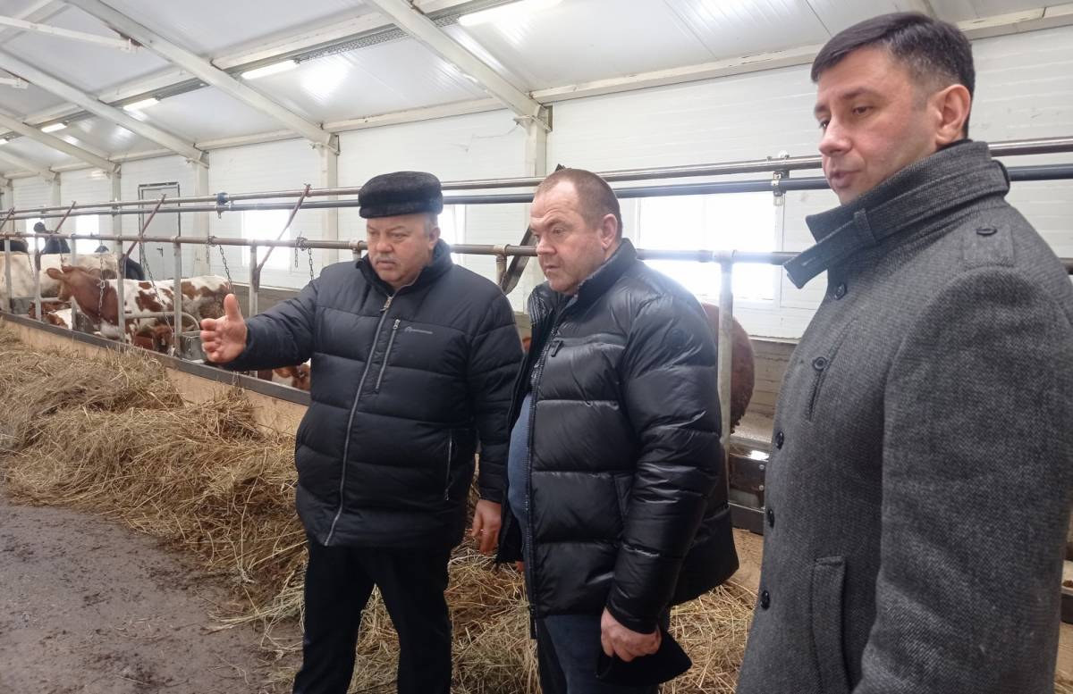 Окуловские фермеры готовятся к участию в областных грантовых конкурсах