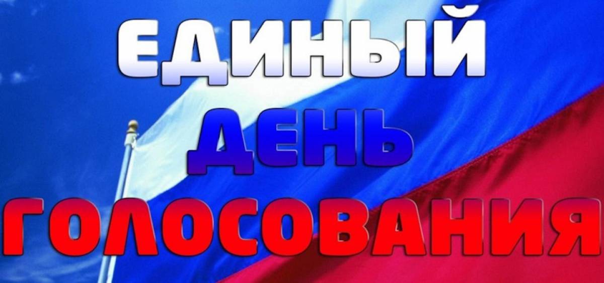 10 сентября в Чудовском районе пройдут выборы главы Грузинского сельского поселения и дополнительные выборы депутатов Горсовета