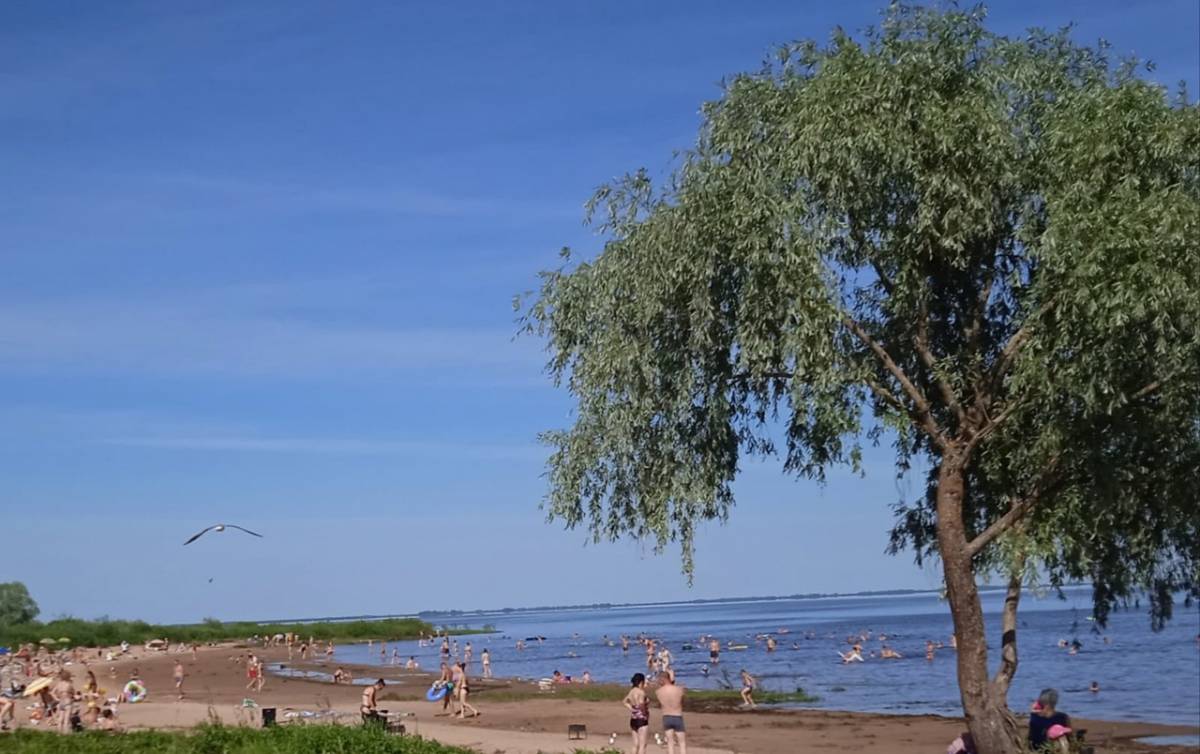В Новгородском районе определены места для купания