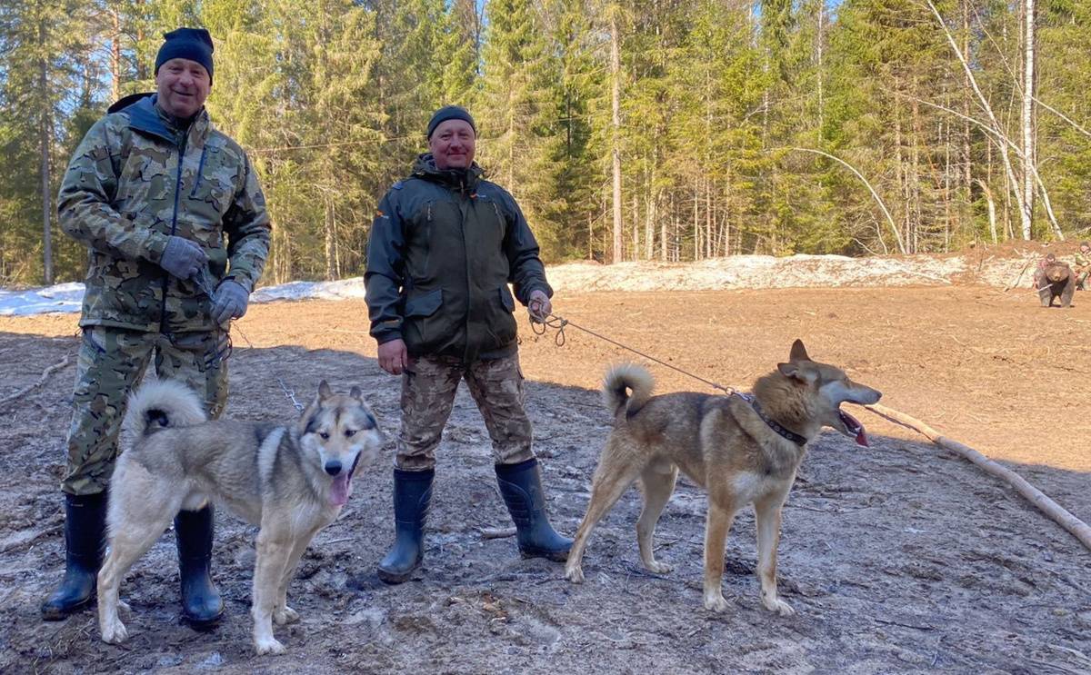 В Окуловке действует единственная в регионе испытательно-тренировочная станция диких животных
