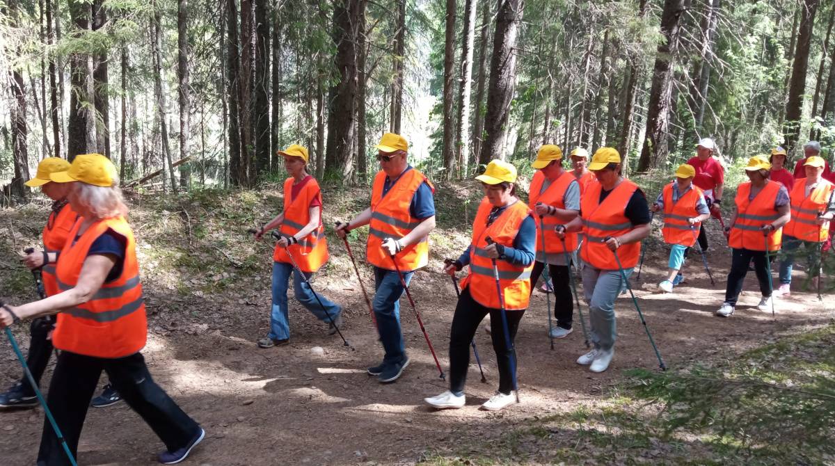 В посёлке Боровёнка пройдут соревнования по скандинавской ходьбе