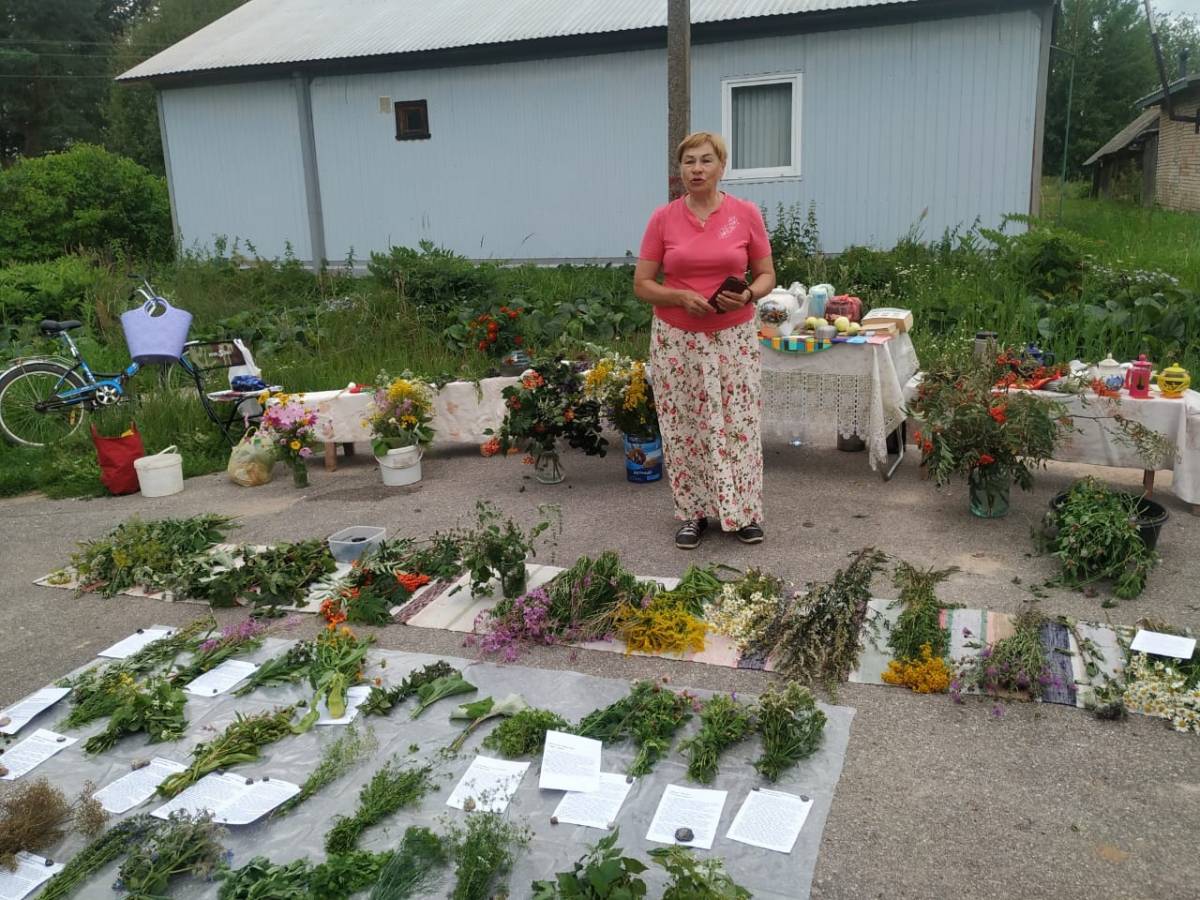 В деревне Ильмень Новгородского района ветераны провели выставку трав