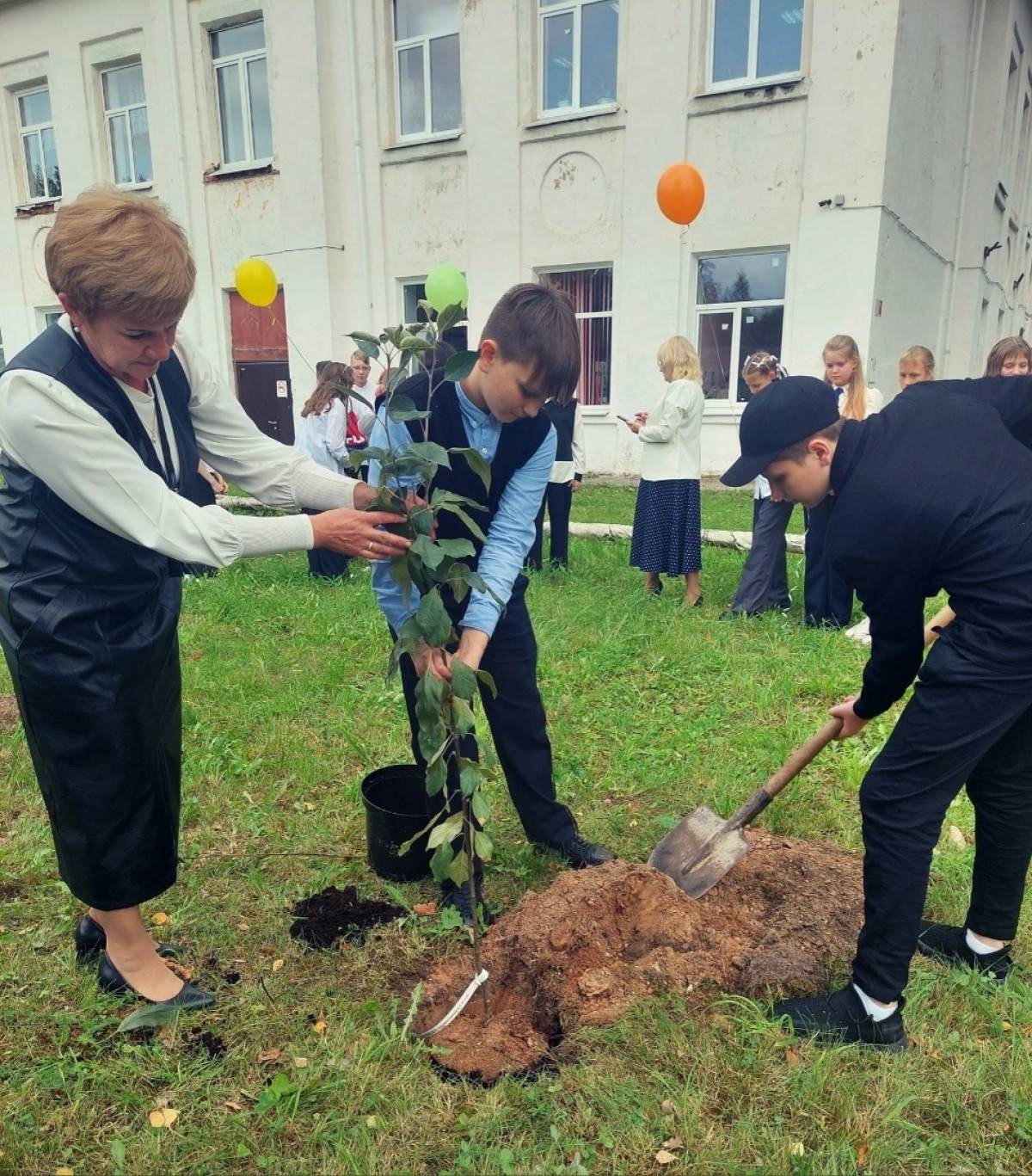 В Тёсово-Нетыльской школе Новгородского района заложили яблоневый сад