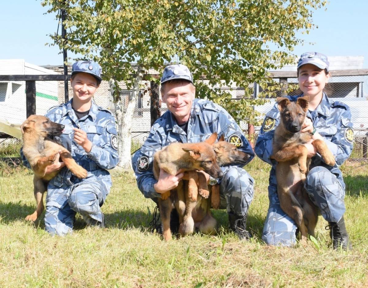 За каждым молодым четвероногим бойцом закреплен сотрудник кинологического подразделения