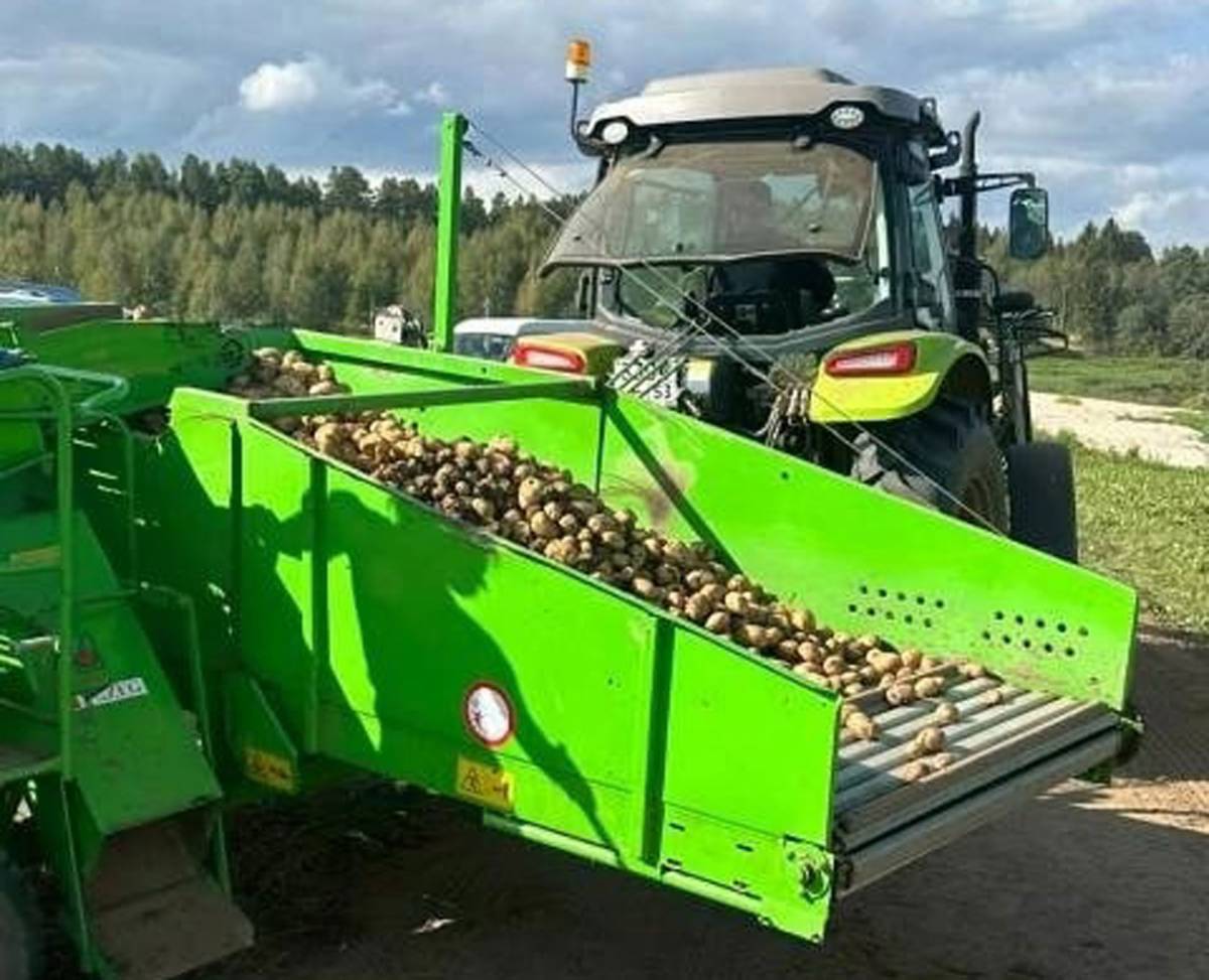 Фермеры Любытинского района продолжают уборку урожая