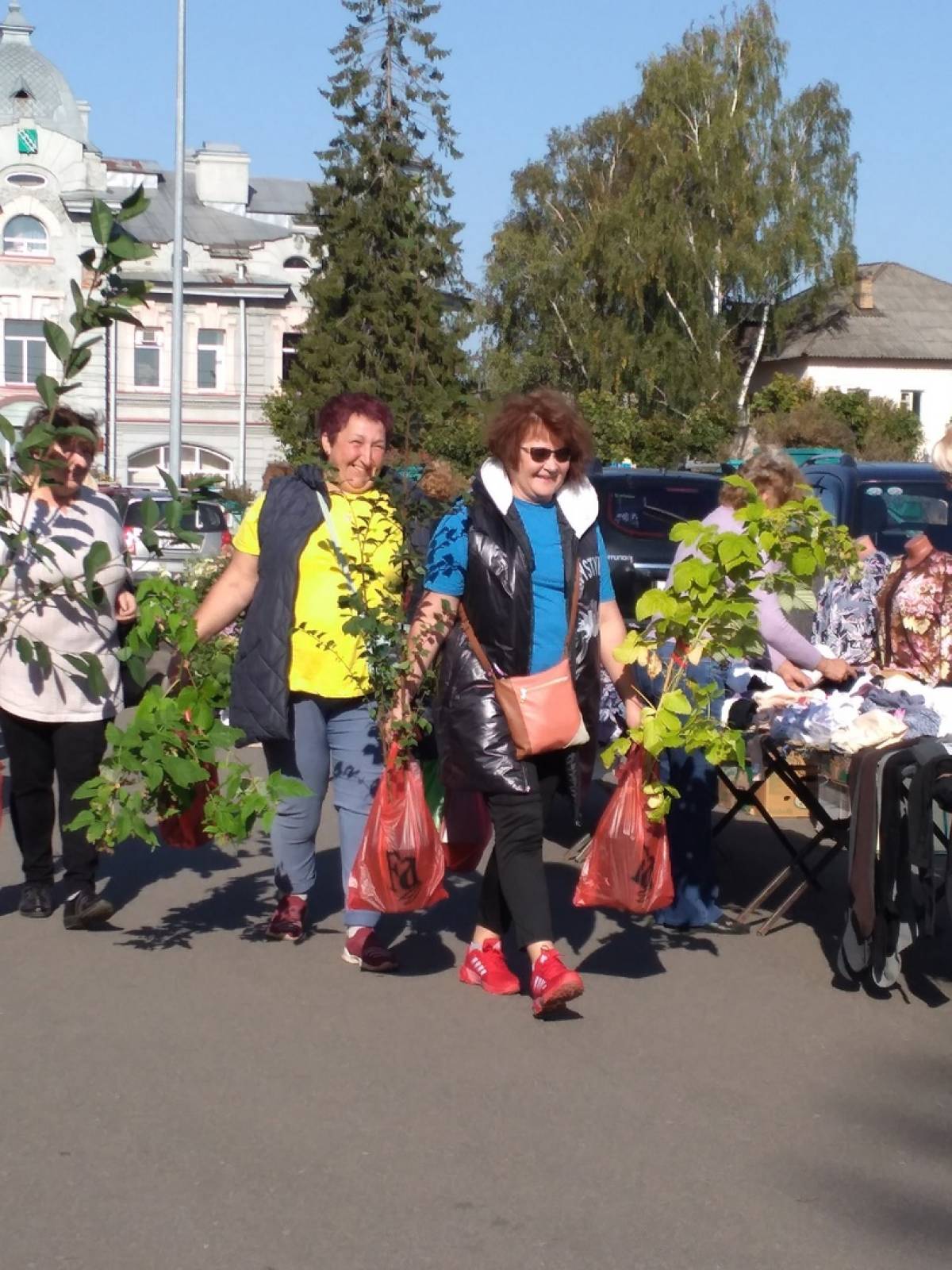 В Малой Вишере прошла сельскохозяйственная ярмарка
