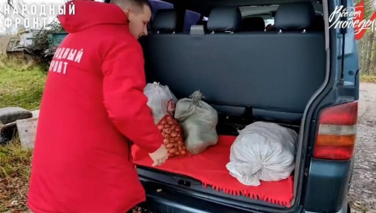 Семья из Новгородского района поделилась своим урожаем с бойцами СВО