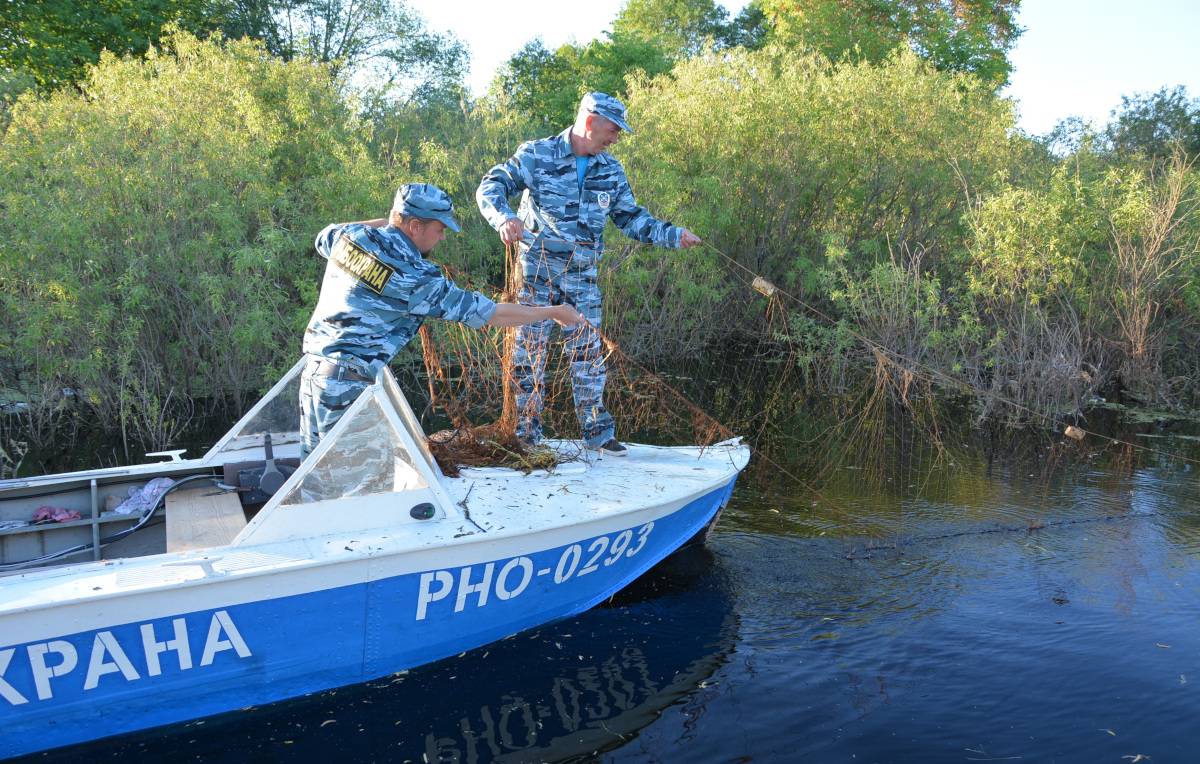 Окуловцы обратились в прокуратуру по поводу браконьерства на водоёмах