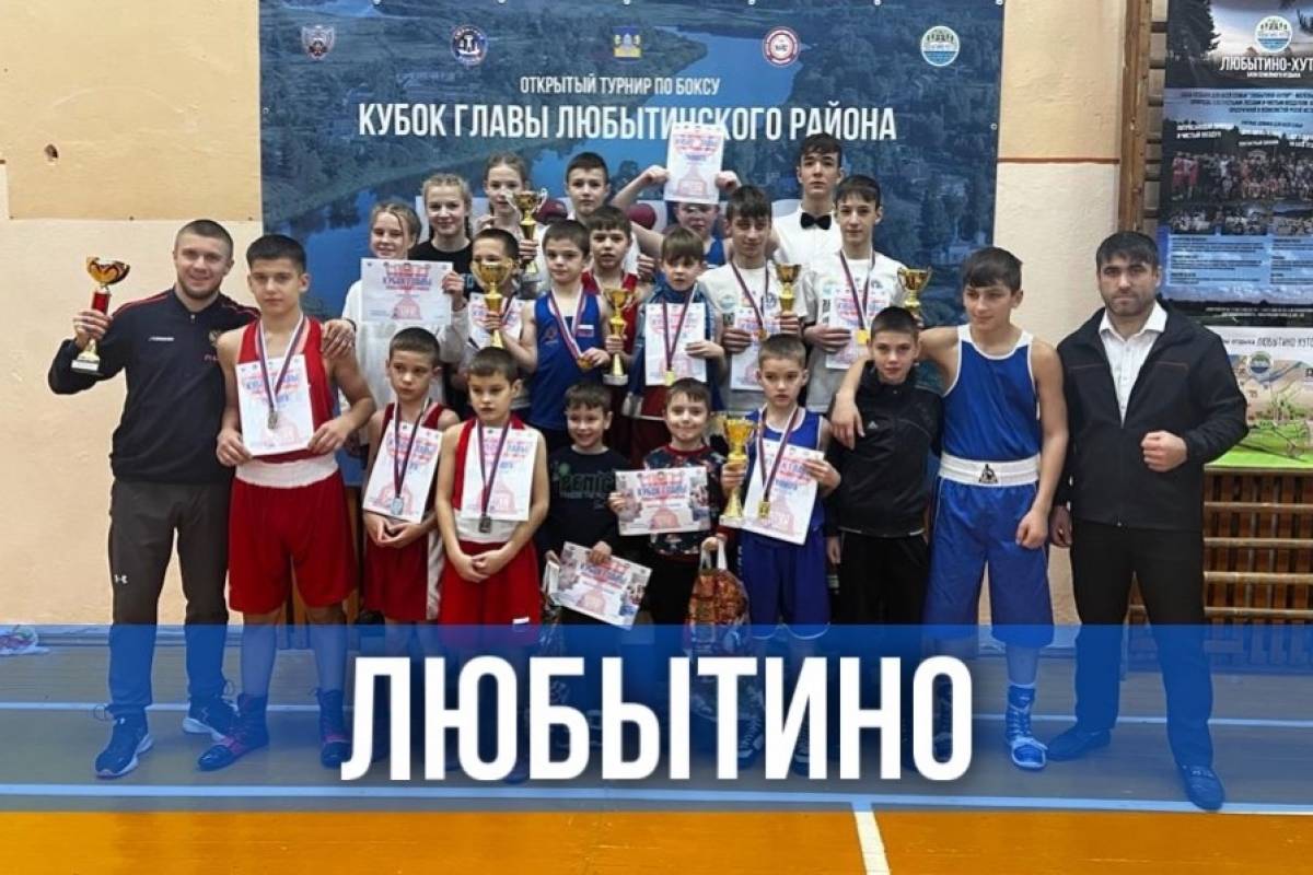 Турнир по боксу на Кубок Главы Любытинского  района собрал более ста спортсменов