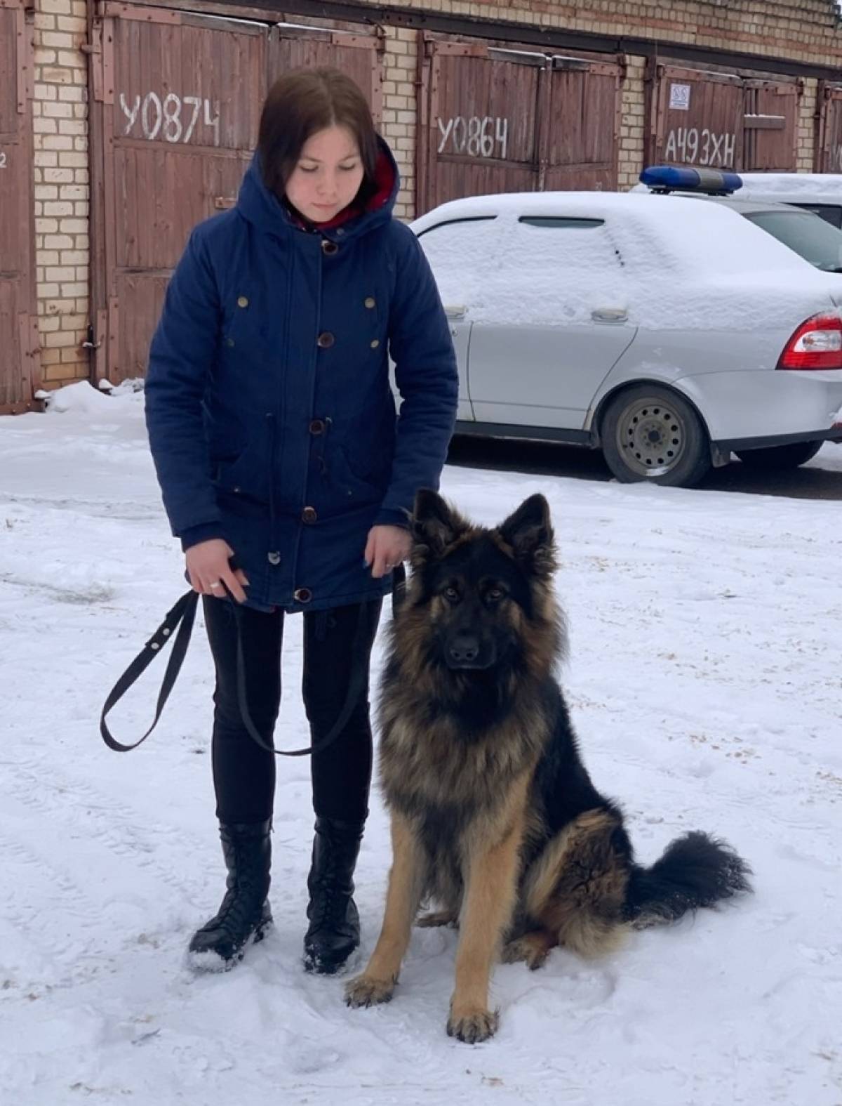 В шимском отделе полиции появилась новая собака — овчарка по кличке Гермес