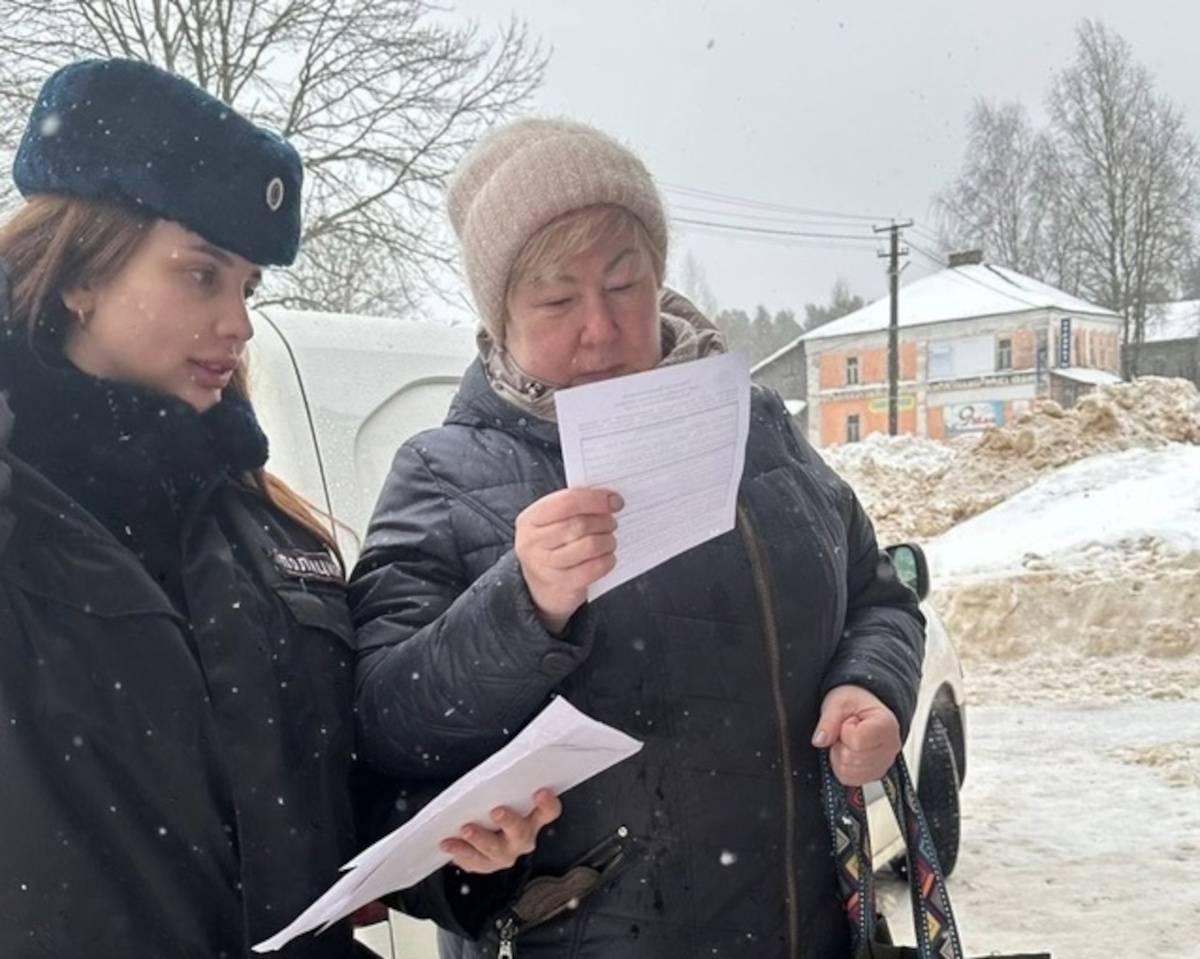 В 2023 году Окуловская полиция зарегистрировала 56 заявлений об интернет-мошенничестве
