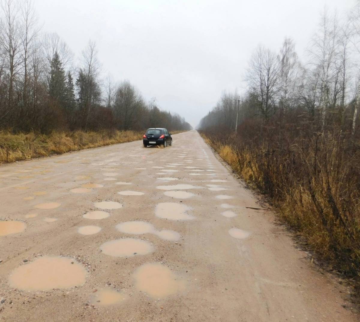 В 2025 году в Чудовском районе капитально отремонтируют дорогу Лука-2 – ж/д ст. Волхов Мост