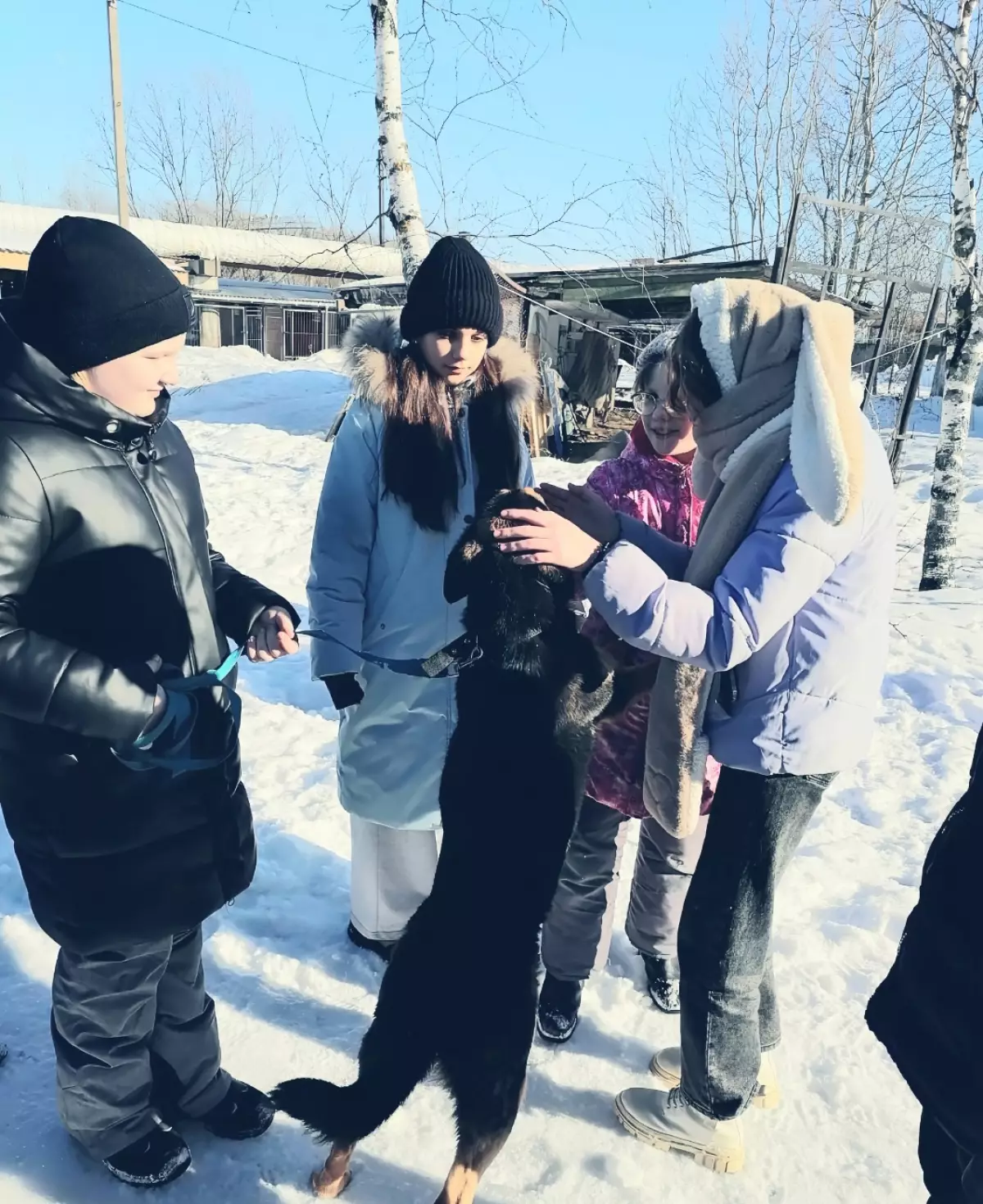Школьники из Новгородского района передали корма в приют для собак