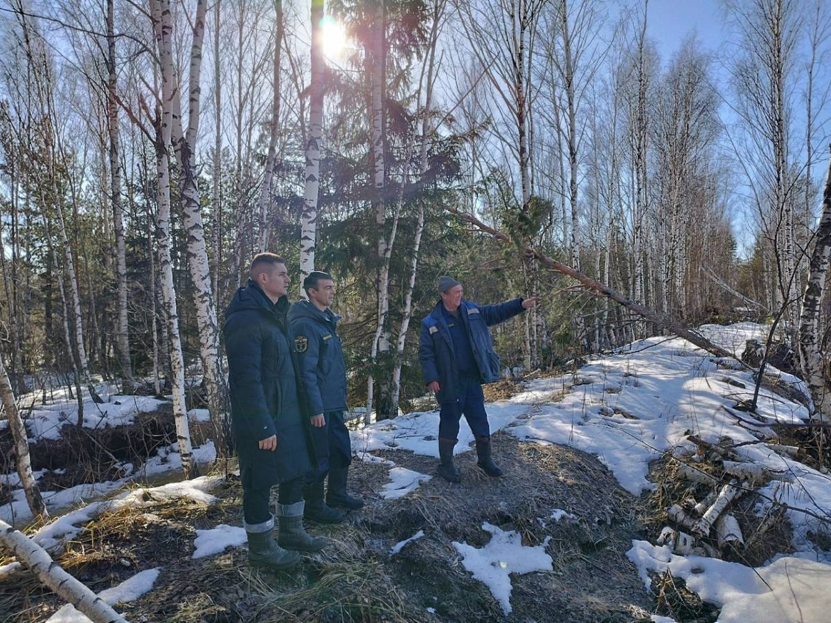 В Новгородском районе обследовали торфяники