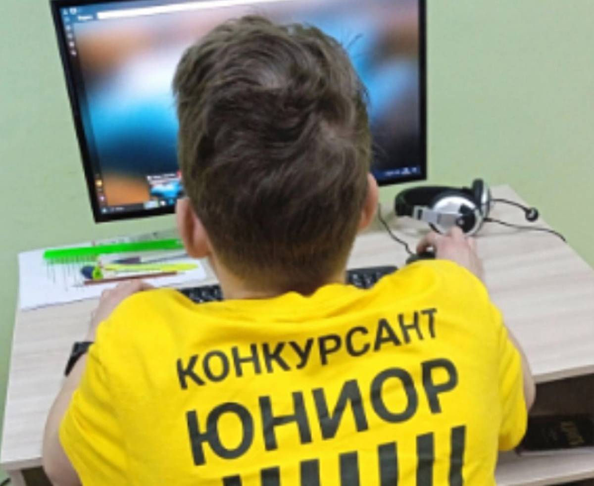 Мошенские школьники победили в двух номинациях регионального этапа чемпионата «Профессионалы»
