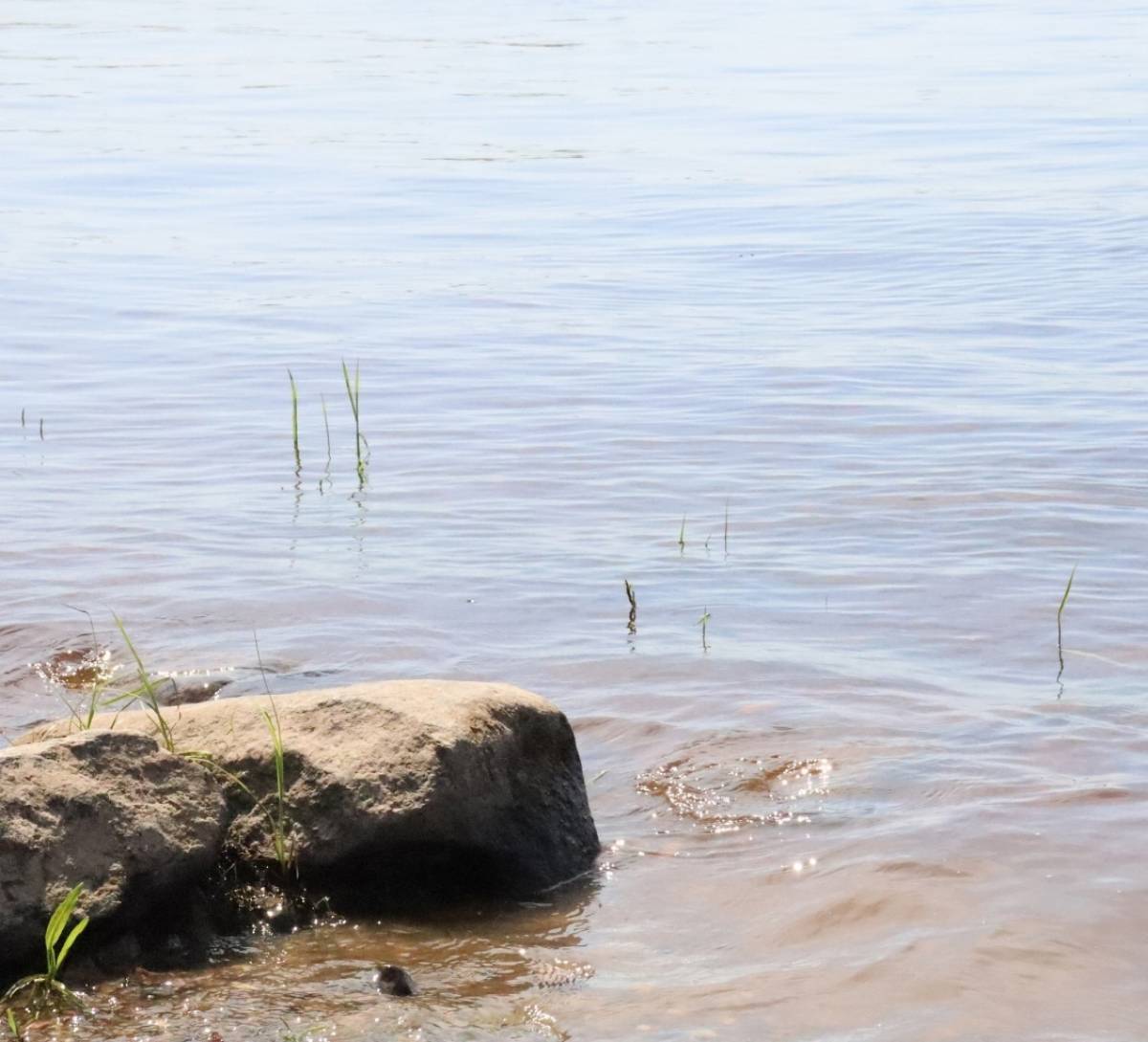 В Чудовском районе большой воды не будет