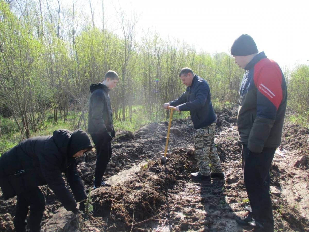 Школьники д. Федорково Парфинского района заложили «Аллею Славы» в память о воинах, погибших при защите Отечества