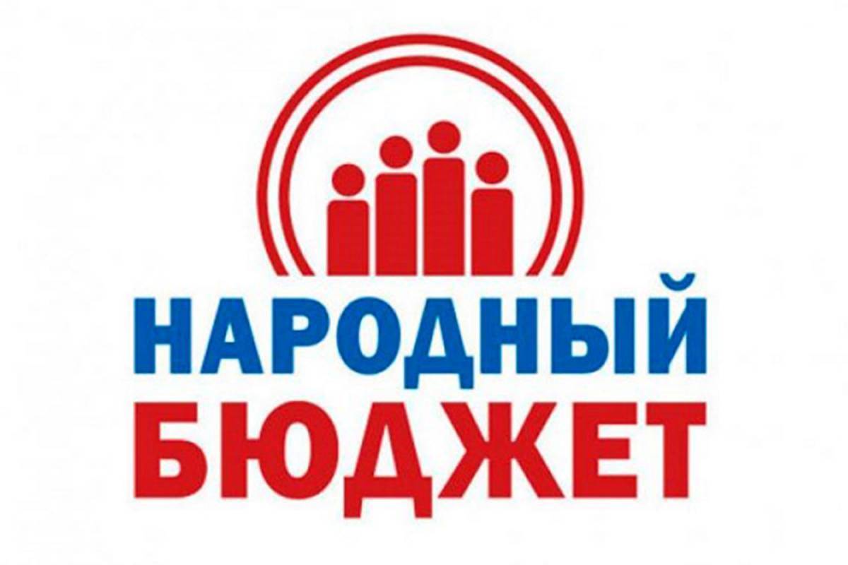 В Окуловке готовят заявку на конкурсный отбор практики инициативного бюджетирования «Народный бюджет»