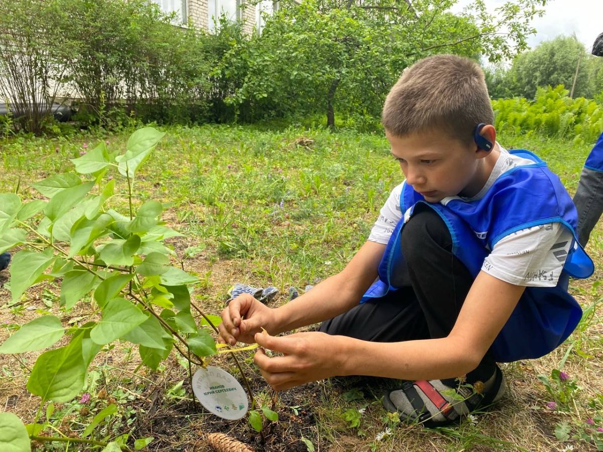 В посёлке Пролетарий Новгородского района заложили аллеи памяти
