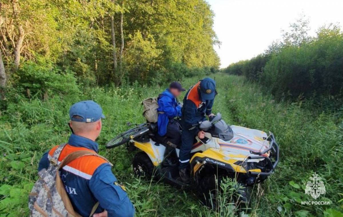 В Новгородском районе  нашли потерявшегося в лесу ягодника