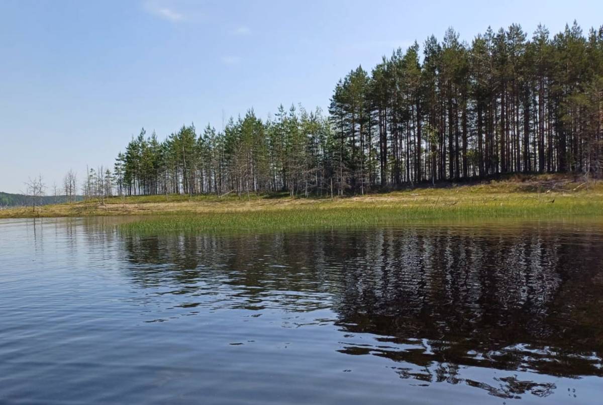 На водоёмах Окуловского района прошли проверки самовольного возведения пирсов и других построек