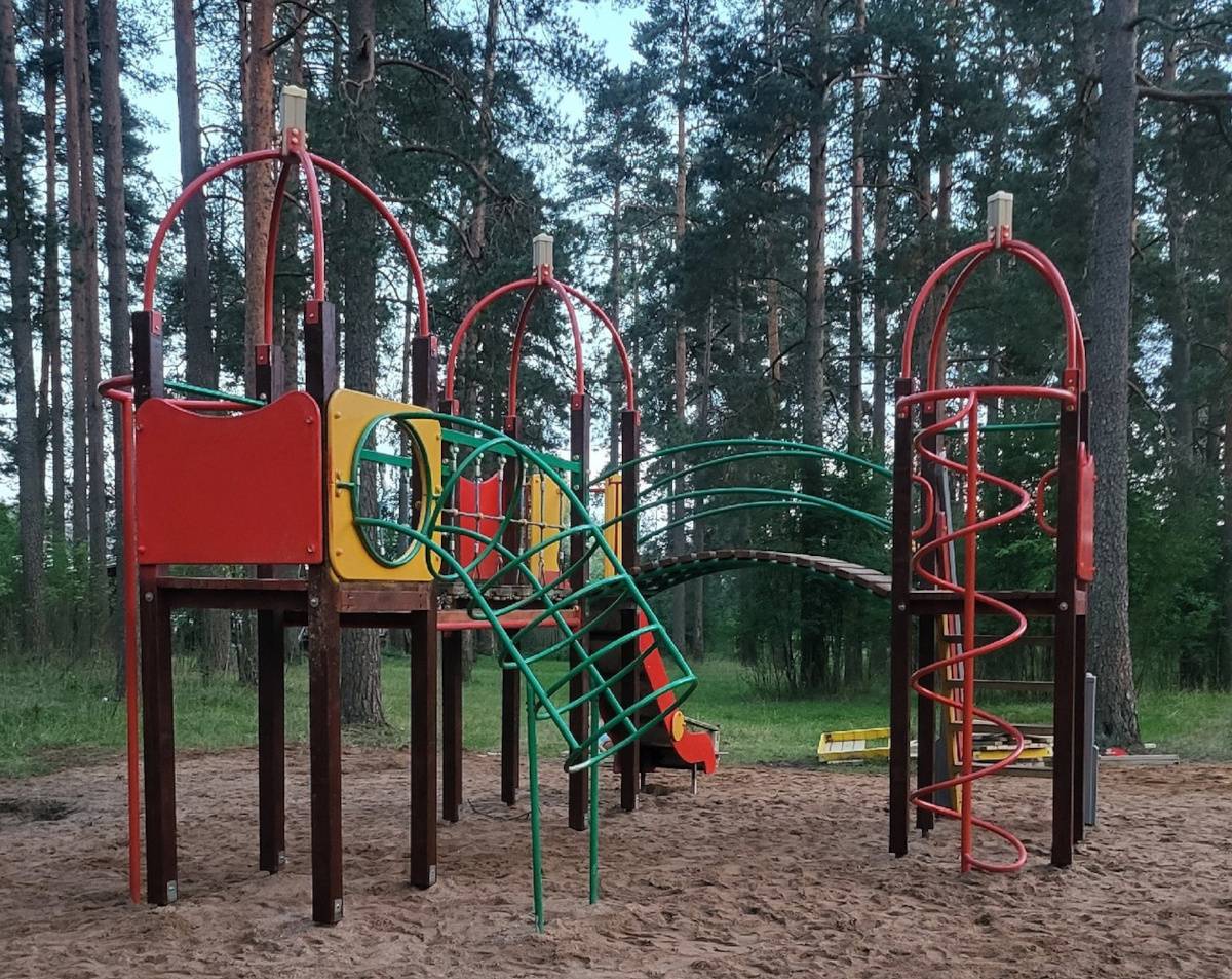 Жители Боровёнки Окуловского района, объединившиеся в ТОС «Вайли», своими силами установили детскую площадку