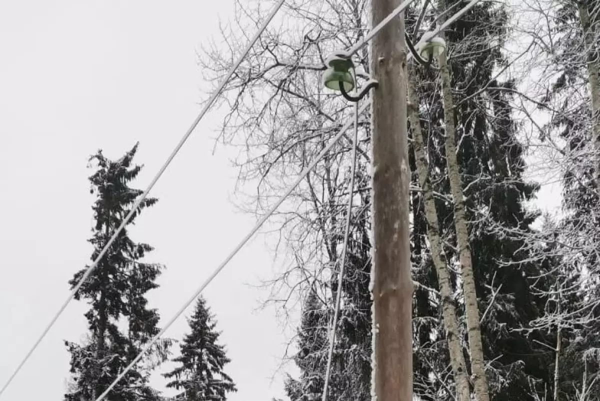 Фото из архива ГУ МЧС по Новгородской области