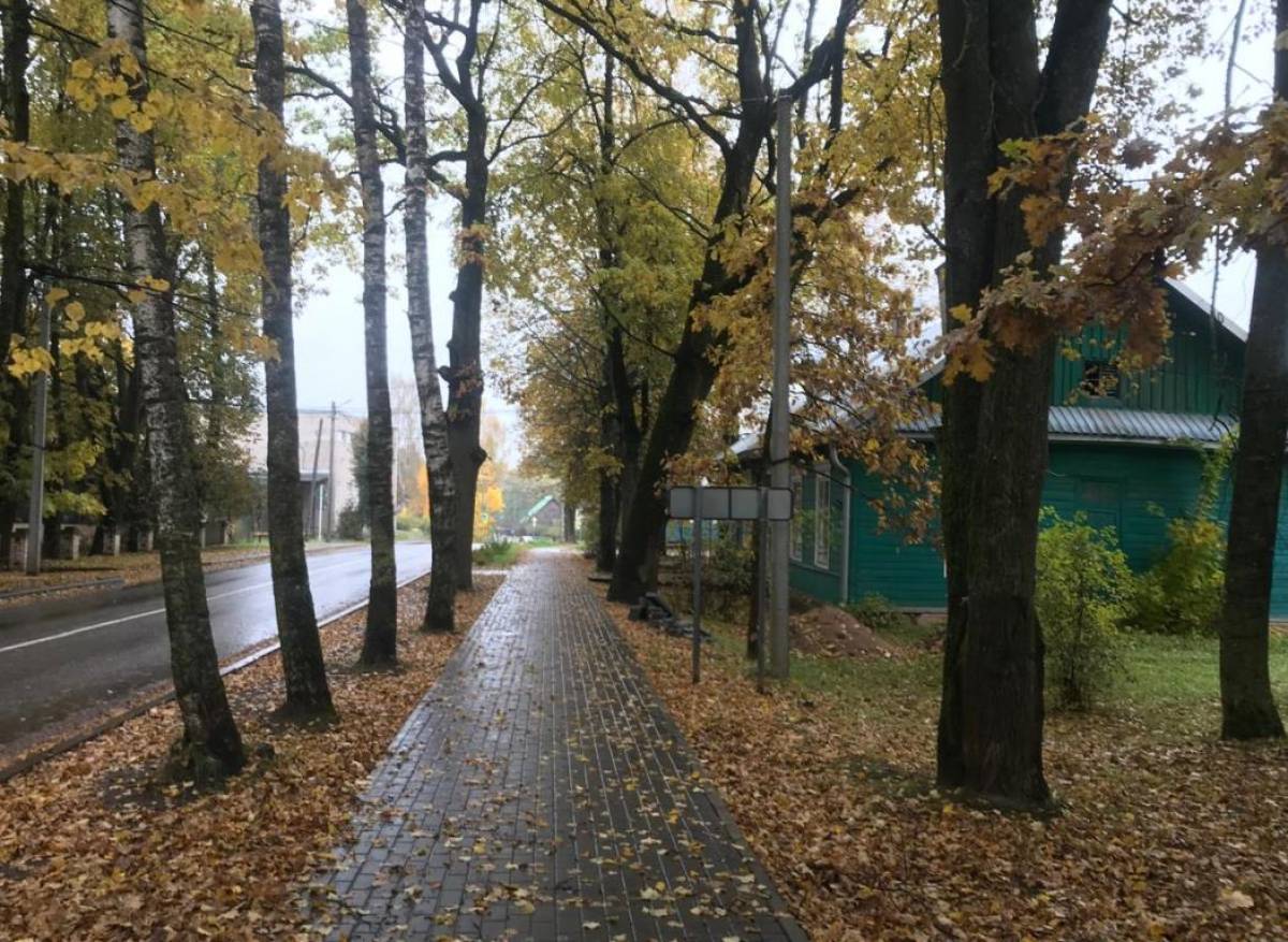 Марёвцы намерены завершить сооружение тротуара в центре села