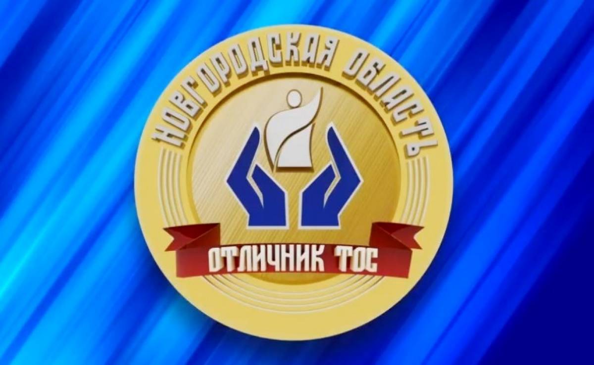 В 2025 году впервые состоится вручение знака «Отличник ТОС Новгородской области»