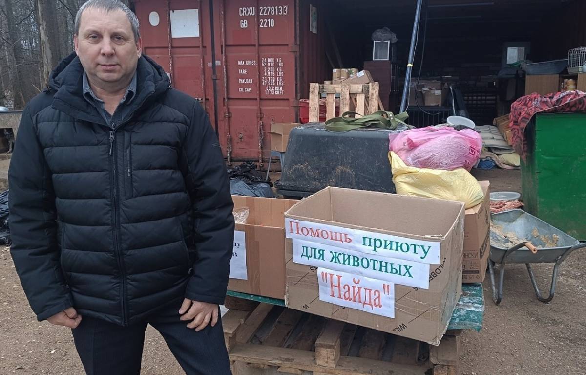 Фото предоставлено приютом «Найда»