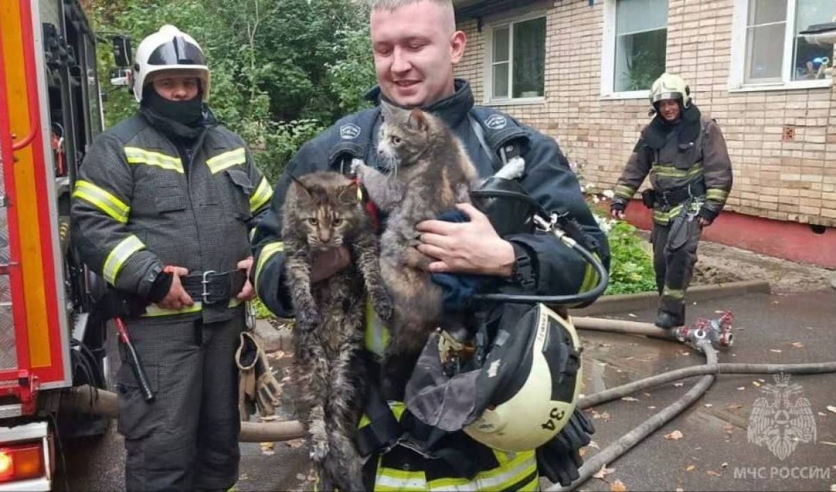 фотографии предоставлены МЧС