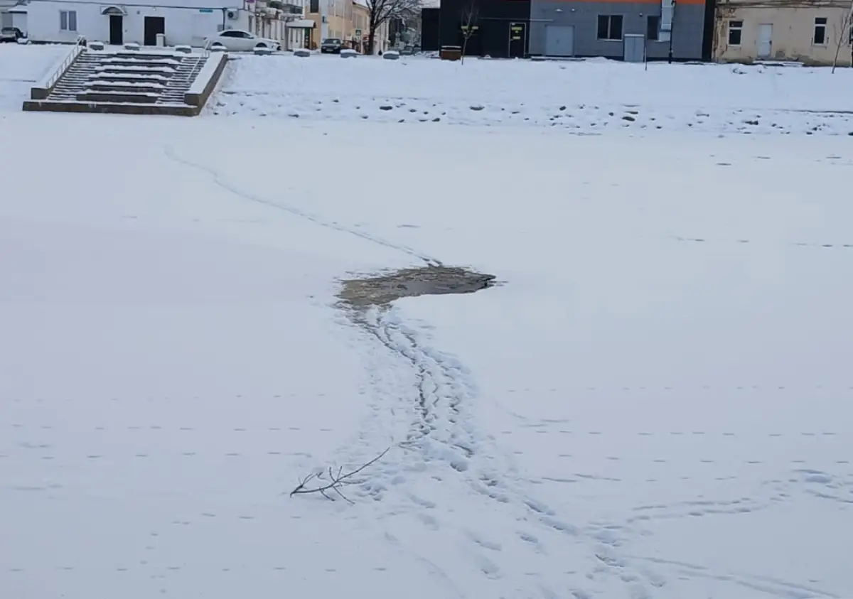 В Старой Руссе спасли мужчину из ледяной воды реки Полисть