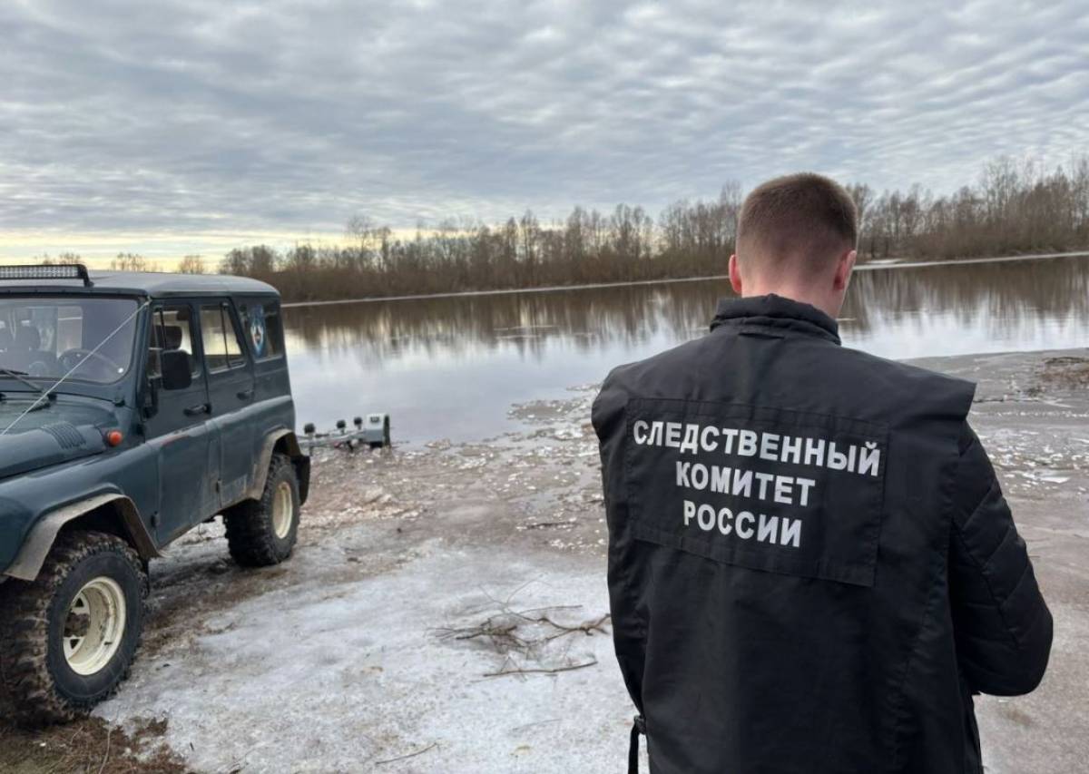 В Старой Руссе мужчина погиб, пытаясь вытащить собаку из реки