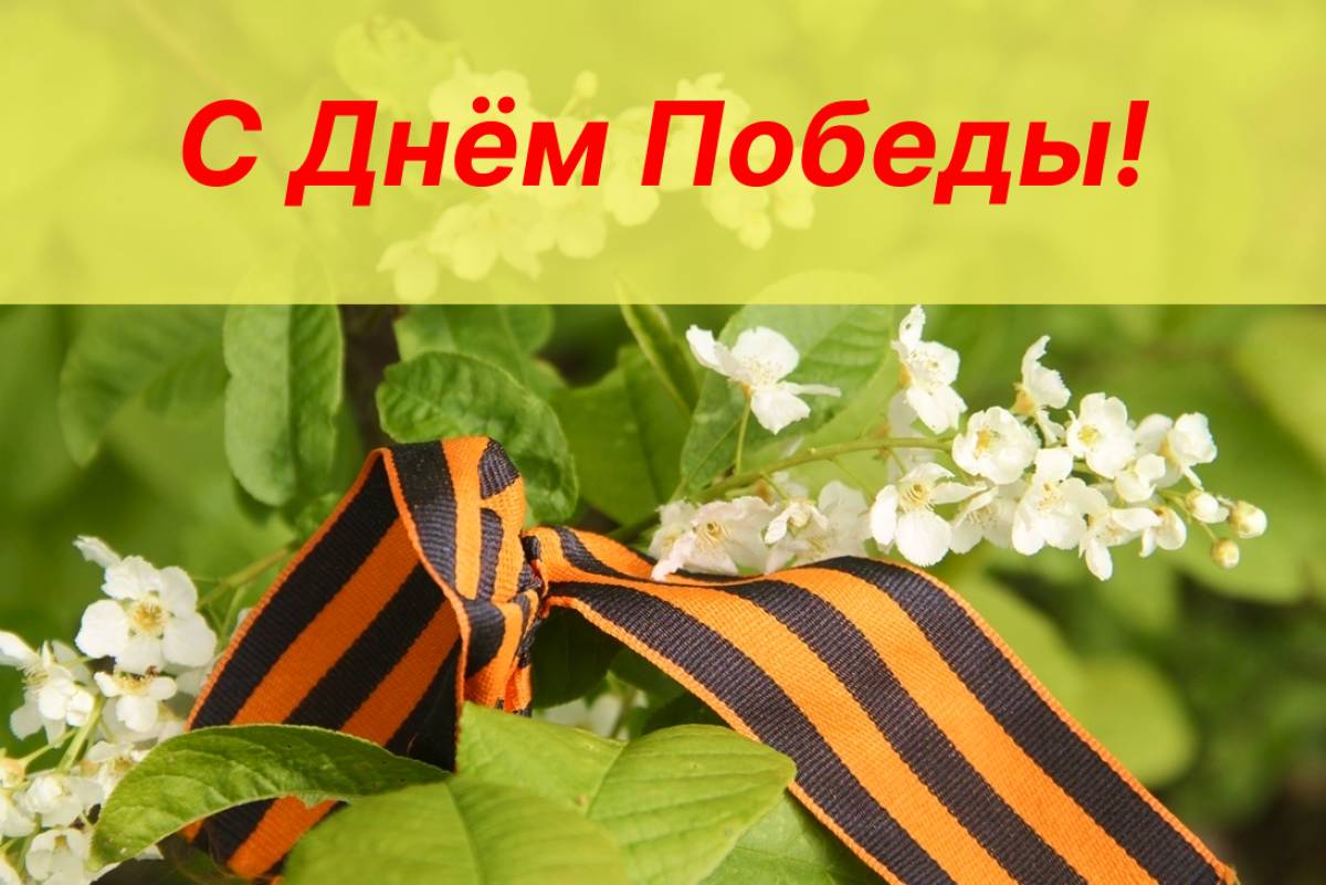 Александр Дронов поздравил жителей Новгородской области с Днём Победы