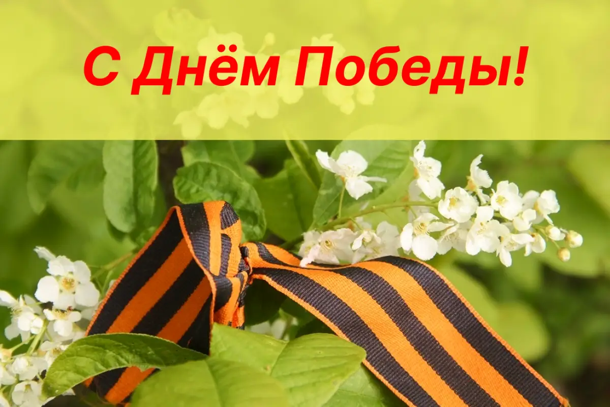 Александр Дронов поздравил жителей Новгородской области с Днём Победы